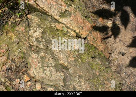 Beaux fonds naturels lumineux et inhabituels faits de grosses pierres avec des fissures profondes, de l'eau, des plantes vertes avec un grincement jaune. Banque D'Images