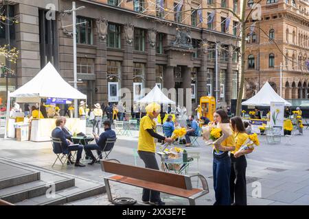 Cancer Council of Australia vendant des jonquilles lors de la journée annuelle de jonquille du 22 août 2024, la jonquille est un symbole d'espoir pour les personnes atteintes de cancer et vise à collecter des fonds importants pour soutenir la recherche, Martin place dans le centre-ville de Sydney en Australie, jeudi 22 août 2024. Credit Martin Berry @ Alamy Live news. Banque D'Images