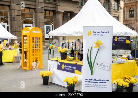 Cancer Council of Australia vendant des jonquilles lors de la journée annuelle de jonquille du 22 août 2024, la jonquille est un symbole d'espoir pour les personnes atteintes de cancer et vise à collecter des fonds importants pour soutenir la recherche, Martin place dans le centre-ville de Sydney en Australie, jeudi 22 août 2024. Credit Martin Berry @ Alamy Live news. Banque D'Images