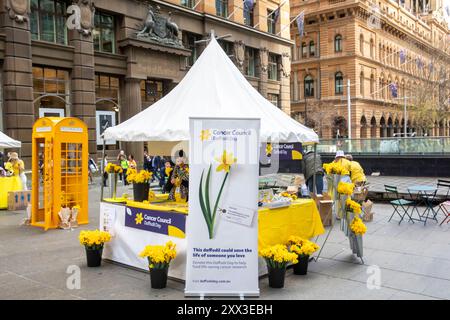 Cancer Council of Australia vendant des jonquilles lors de la journée annuelle de jonquille du 22 août 2024, la jonquille est un symbole d'espoir pour les personnes atteintes de cancer et vise à collecter des fonds importants pour soutenir la recherche, Martin place dans le centre-ville de Sydney en Australie, jeudi 22 août 2024. Credit Martin Berry @ Alamy Live news. Banque D'Images