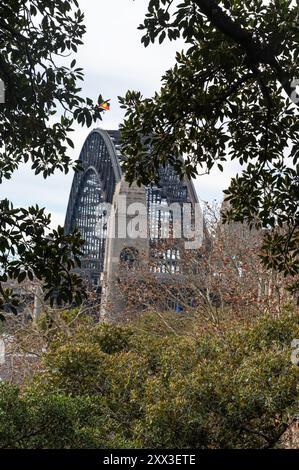 Harbour Bridge et une partie des Rocks historiques de Observatory Hill à Sydney, Nouvelle-Galles du Sud, Australie Banque D'Images