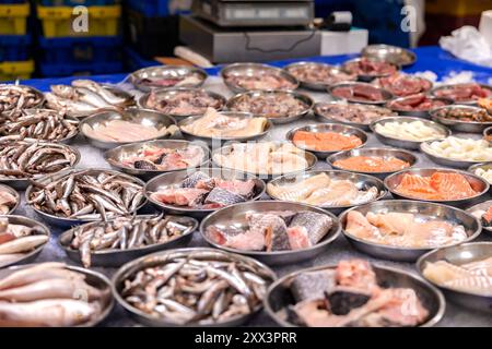 Différents types de mer dans de petits bols, étal de marché à Rotterdam. Différents types de mers comme la morue, les sprats, le saumon, offerts au marché de Rotterdam, pays-Bas. Fruits de mer, sains, marchand, pour la cuisine ou la friture, poisson de la mer, étal de marché. pays-bas rotterdam Weekly Market B97A6365 Banque D'Images