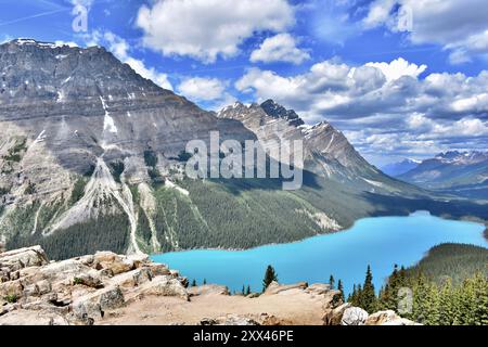 Les sédiments des montagnes environnantes se déversent dans le lac Peyto, lui donnant une couleur bleue éclatante. Peyto Lake, Alb. Banque D'Images