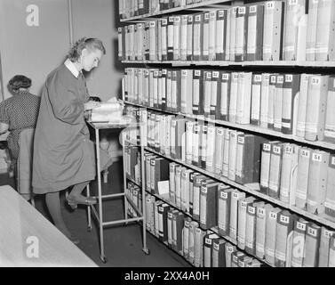 Courant 1949 : honneur et conscience sous examen les déclarations fiscales sont vérifiées par l'Agence fiscale suédoise. - L'Agence suédoise d'assurance sociale dispose d'un centre pour la main-d'œuvre fiscale et collabore avec le registre de la population pour se tenir au courant des mouvements des résidents, des naissances et autres. Archive utile pour l'équation des gens! Photo ; Thorbjørn Skotaam / Aktuell / NTB ***PHOTO NON TRAITÉE*** le texte de cette image est traduit automatiquement Banque D'Images