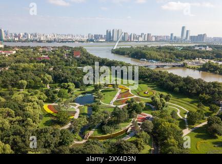 Harbin. 20 août 2024. Une photo de drone aérien prise le 20 août 2024 montre des personnes visitant un jardin botanique de Sun Island pittoresque site dans le parc national des zones humides de Taiyangdao (Sun Island) à Harbin, dans la province du Heilongjiang au nord-est de la Chine. Le parc national des zones humides de Taiyangdao à Harbin, dans la province du Heilongjiang, au nord-est de la Chine, couvre une superficie totale de plus de 10 000 hectares, dont plus de 70 % sont des zones humides. Avec son bel environnement écologique, le parc est devenu un bon endroit pour les citoyens et les touristes à visiter. Crédit : Wang Jianwei/Xinhua/Alamy Live News Banque D'Images