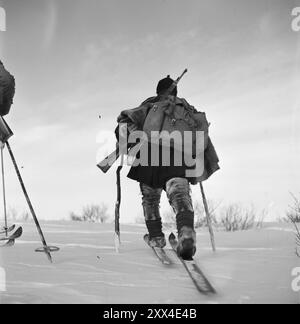 1949 : la guerre du loup avec des avions et des véhicules à chenilles les employés actuellement détachés participent à la chasse au loup au Finnmark. - Les chasseurs Sami ont la glisse qui convient à la vidda. Quand ils enfilent leurs manteaux, ils peuvent passer la nuit dans la pile de neige sans geler. Photo ; Sverre A. Børretzen / Aktuell / NTB ***PHOTO NON TRAITÉE*** le texte de cette image est traduit automatiquement Banque D'Images