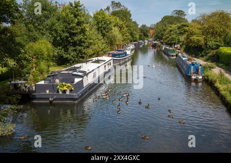 Une vue le long du canal Kennet et Avon près de Newbury Lock, Newbury, Berkshire, Angleterre, Royaume-Uni Banque D'Images