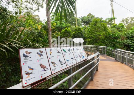 Le panneau d'information montre différents types d'espèces d'oiseaux résidants en format couleur pour éduquer le visiteur. Oiseau Paradise. Réserve naturelle de Mandai. Singapour. Banque D'Images