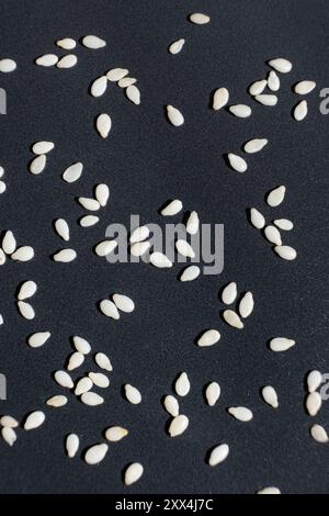 Macrograins de graines de sésame grillées blanches. Banque D'Images