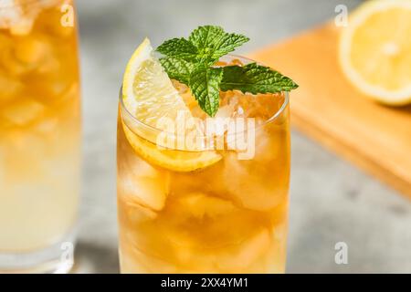 Thé glacé rafraîchissant et boisson à la limonade avec citron et menthe Banque D'Images