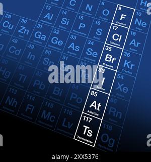 Les halogènes, un groupe d'éléments chimiquement apparentés dans le tableau périodique. Fluor, chlore, brome, iode, astatine et tennessine. Banque D'Images