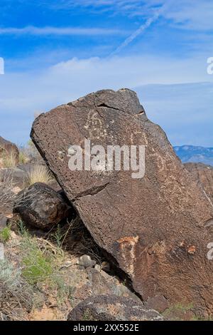 Sculptures de pétroglyphes sur des rochers de basalte du monument national de pétroglyphes à l'extérieur d'Albuquerque Nouveau-Mexique Banque D'Images