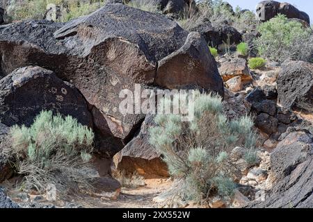 Sculptures de pétroglyphes sur des rochers de basalte du monument national de pétroglyphes à l'extérieur d'Albuquerque Nouveau-Mexique Banque D'Images