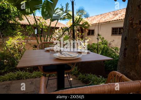 Une table avec deux chaises et une nappe est installée dans un jardin. La table est recouverte d'assiettes, fourchettes, couteaux et cuillères. Les chaises sont placées aro Banque D'Images