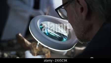 Paléoanthropologue ou archéologue mature nettoie les restes fossiles avec une brosse, étudie les os de l'homme ou de l'animal antique sous la loupe d'une lampe dans un laboratoire archéologique. Scientifique travaillant en arrière-plan. Banque D'Images