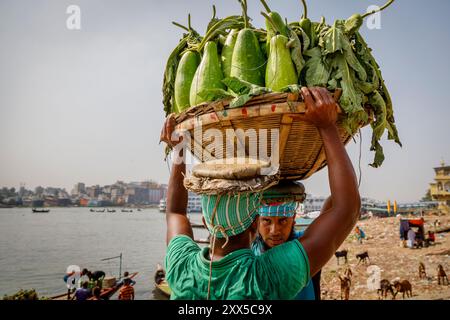 Sur les rives du Vieux Dacca, deux porteurs déchargent des paniers de courges d'une barge fluviale. Un porteur passe soigneusement un grand panier tissé rempli de gourdes à l'autre, qui se prépare à équilibrer la lourde charge sur sa tête pour la promenade vers le marché aux légumes animé de Pourim Dhaka. La scène montre le travail à forte intensité de main-d'œuvre qui soutient l'approvisionnement alimentaire vital de la ville, alors que les marchandises de la rivière se retrouvent entre les mains des vendeurs et des résidents Banque D'Images