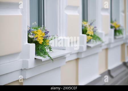 Beaux bouquets de fleurs dans des pots sur les appuis de fenêtre d'une maison dans une rangée. Décoration de l'extérieur d'un bâtiment. Mise au point sélective. Banque D'Images