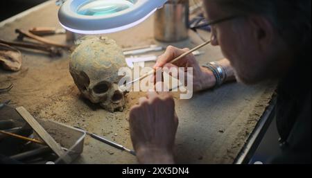 Archéologue mature nettoie le crâne fossile sous la lampe à l'aide d'outils professionnels et d'une brosse. Scientifiques études reste de l'homme préhistorique éteint, travaux dans le laboratoire archéologique. Gros plan. Zoom avant. Banque D'Images