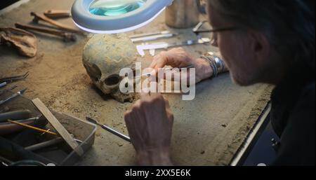 Archéologue mature nettoie le crâne fossile sous la lampe à l'aide d'outils professionnels et d'une brosse. Scientifiques études reste de l'homme préhistorique éteint, travaux dans le laboratoire archéologique. Gros plan. Zoom avant. Banque D'Images