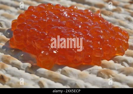 Caviar rouge sur un pain matzah, gros plan de la photo. Faible profondeur de champ Banque D'Images