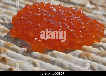 Caviar rouge sur un pain matzah, gros plan de la photo. Faible profondeur de champ Banque D'Images