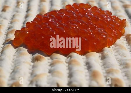 Caviar rouge sur un pain matzah, gros plan de la photo. Faible profondeur de champ Banque D'Images