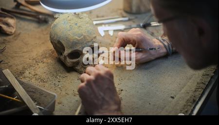 Gros plan de l'archéologue mature nettoyant le crâne de l'homme ancien éteint du sable sous la lampe en utilisant des outils professionnels. Scientifique masculin étudie les restes fossiles travaillant dans un laboratoire archéologique. Banque D'Images