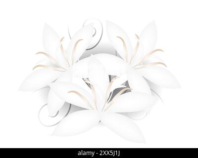 Fond floral avec des fleurs blanches ouvertes de café. Illustration de Vecteur