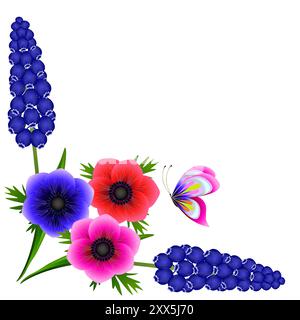Coin avec jacinthes de raisins bleus muscariniques et anémones avec un papillon sur un fond blanc. Illustration de Vecteur