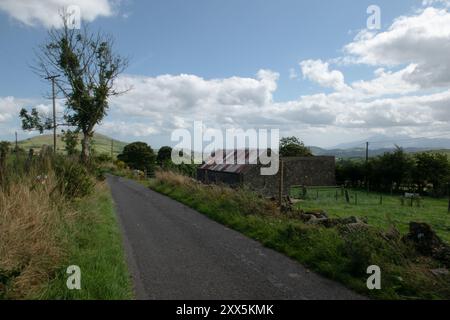 Country Road, Legananny, County Down, Irlande du Nord Banque D'Images