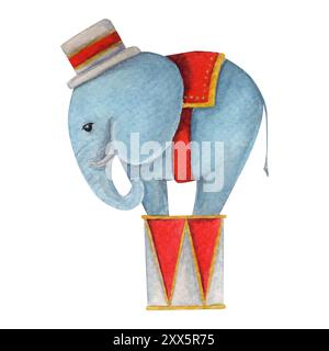 Illustration aquarelle avec éléphant bleu dans le chapeau sur le tambour. Illusrtation dessinée à la main Banque D'Images