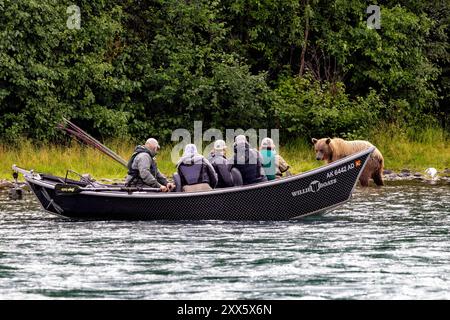 Pêcheurs observant l'ours brun côtier sur la rivière Kenai - péninsule Kenai du centre-sud de l'Alaska. Banque D'Images