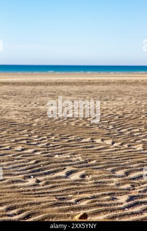 Paysage d'une plage vierge à Puerto Peñasco, Sonora, Mexique. Banque D'Images