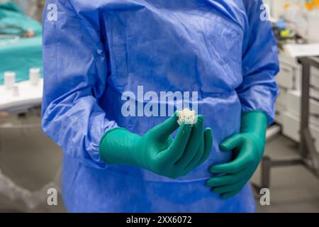 Cardiologie de la chirurgie valvulaire cardiaque pour patient hospitalisé. Préparer l'implantation de la valve aortique transcathéter dans la main du médecin. Valvule cardiaque Banque D'Images