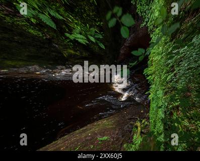 Schottland : Teufelskanzel im Canyon. - Blick von oben auf einen Wasserfall in der mystischen Schlucht Finnich Glen nordwestlich von Glasgow Schottland Banque D'Images