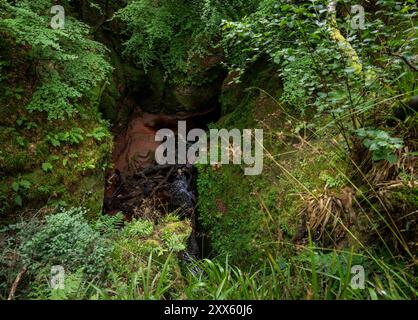 Schottland : Teufelskanzel im Canyon. - Blick von oben auf den legendären und schwer erreichbaren Devils Pulpit Teufelskanzel am Grund der mystischen S. Banque D'Images