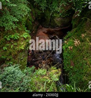 Schottland : Teufelskanzel im Canyon. - Blick von oben auf den legendären und schwer erreichbaren Devils Pulpit Teufelskanzel am Grund der mystischen S. Banque D'Images