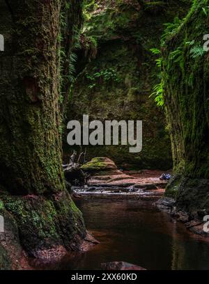 Schottland : Teufelskanzel im Canyon. - Blick auf den legendären und schwer erreichbaren Devils Pulpit Teufelskanzel am Grund der mystischen Schlucht F Banque D'Images