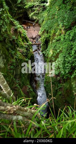 Schottland : Teufelskanzel im Canyon. - Blick von oben auf den Wasserlauf in der mystischen Schlucht Finnich Glen nordwestlich von Glasgow Schottland. Banque D'Images