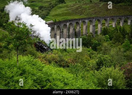 Glenfinnan-Viadukt : Berühmtes Bauwerk. - Der Touristensonderzug The Jacobite mit Dampflokomotive überquert den beeindruckenden, 380 m langen Glenfinna Banque D'Images