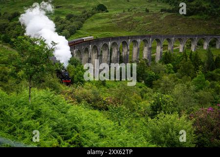 Glenfinnan-Viadukt : Berühmtes Bauwerk. - Der Touristensonderzug The Jacobite mit Dampflokomotive überquert den beeindruckenden, 380 m langen Glenfinna Banque D'Images