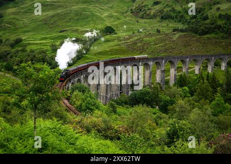 Glenfinnan-Viadukt : Berühmtes Bauwerk. - Der Touristensonderzug The Jacobite mit Dampflokomotive überquert den beeindruckenden, 380 m langen Glenfinna Banque D'Images