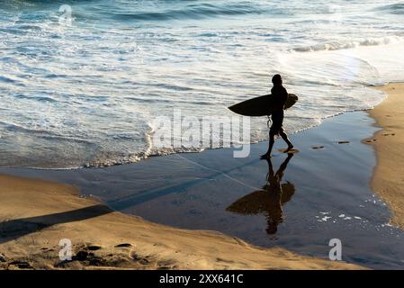 Salvador, Bahia, Brésil - 14 novembre 2019 : une personne non identifiée est vue en silhouette portant une planche de surf sur la plage de Farol da Barra pendant le coucher du soleil i. Banque D'Images