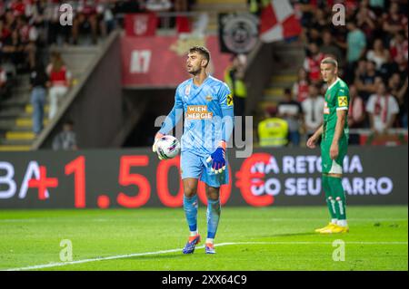 Braga, Portugal. 22 août 2024. Liga Europa : SC Braga vs Rapid Wien - 22/08/2024 crédit : Atlantico Press/Alamy Live News Banque D'Images