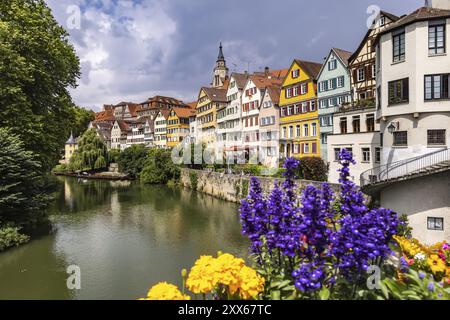 Tuebingen Neckarfront avec Neckar et façades historiques. Motif de carte postale avec église collégiale et tour Hoelderlin. Tuebingen, Bade-Wuertemberg, Ger Banque D'Images
