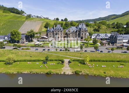 Château historique entouré de vignes et paysage fluvial par une journée ensoleillée, vue aérienne, Château de Lieser, Lieser, Moselle, Bernkastel-Kues, Rhénanie-Pa Banque D'Images