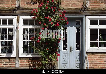 Europe, Allemagne, Mecklembourg-Poméranie occidentale, Buetzow, maison à colombages avec des hollyhocks, belle porte d'entrée, Buetzow, Mecklembourg-po occidentale Banque D'Images