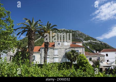 Ston est une petite ville sur la péninsule de Peljesac, dans le sud de la Croatie. Il appartient au comté de Dubrovnik-Neretva, Croatie, Europe Banque D'Images