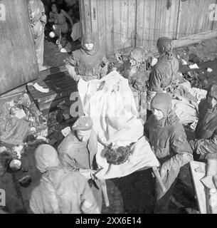 Les soldats, vêtus de combinaisons de matières dangereuses, commencent la tâche de prendre les morts et les malades de la caserne après la libération du camp de concentration de Bergen-Belsen. La position du camp dans l'ouest de l'Allemagne signifiait que des milliers de personnes y furent envoyées alors que l'est tombait. 18000 personnes sont mortes rien qu'en mars 1945, et 10000 dans les deux semaines qui ont suivi la libération. Ils sont morts de maladie et de négligence plutôt que des abus systématiques observés ailleurs. Banque D'Images