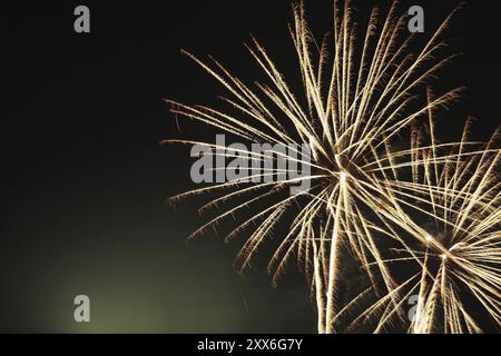 Feux d'artifice, bonne année 2020 Banque D'Images